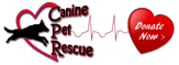Canine Pet Rescue