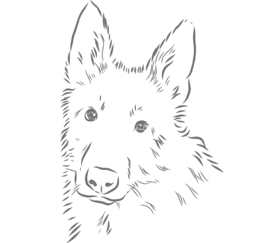 Testimonial Background